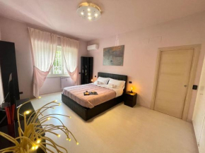 Cipro Pink house